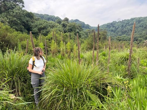 Beautiful Wildlife tours with Yobu Adventures