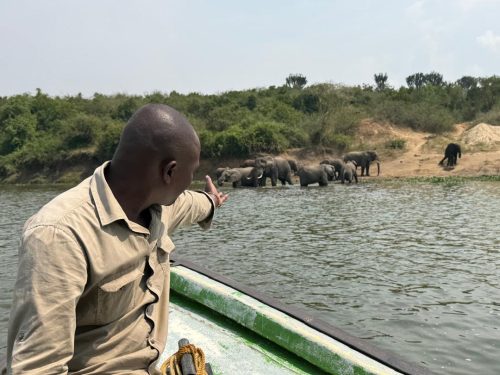 Boat Tours