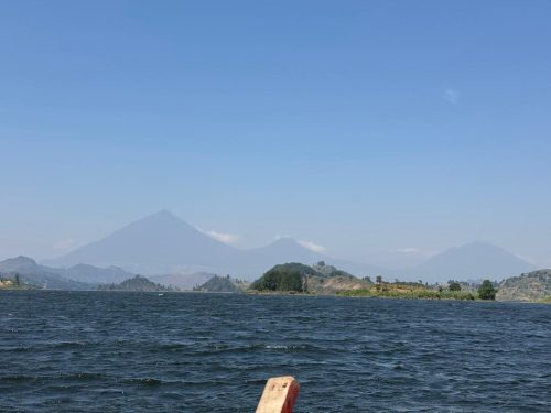 Beautiful Wildlife tours with Yobu Adventures